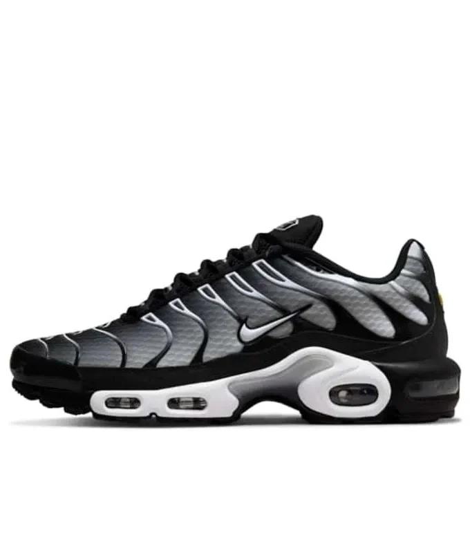 Nike Air Max Plus Smoke Fade